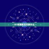 01年属蛇五行缺什么，五行相生相克