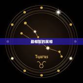 最相配的属相，属鼠的和什么属相最配