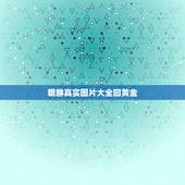 貔貅真实图片大全回黄金，黄金貔貅