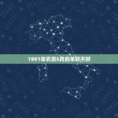 1991年农历5月的羊好不好，1991年属羊农历五月生好不好