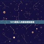1975属兔人的最佳婚配属相，1975年属兔的婚姻配对