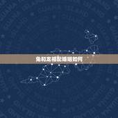 兔和龙相配婚姻如何，1999年兔男与2000年龙女婚配