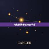 狗和狗属相性格合不合，属狗的和什么属相和？和什么属相不和？