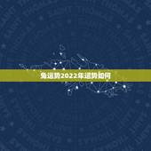 兔运势2022年运势如何，兔2022年运势