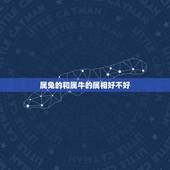 属兔的和属牛的属相好不好，属兔和属牛的可以不可以相配