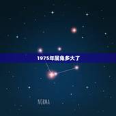 1975年属兔多大了，87属兔二次婚姻在几岁