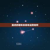 属虎的明年本命年运势如何，属虎本命年运势