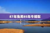 87年兔男85年牛婚配，男属兔87年，女属牛85年 相配吗？