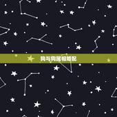 狗与狗属相婚配，狗属相婚配表大全 属狗的和什么属相般配