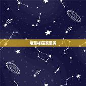 龟怎样在家里养，家里用鱼缸怎样饲养小乌龟