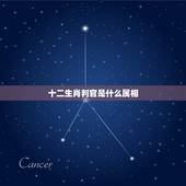十二生肖判官是什么属相，十二生肖里将军是什么生肖