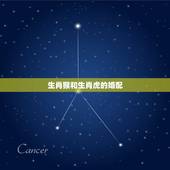 生肖猴和生肖虎的婚配，属相婚配：男属猴和女属虎相配吗