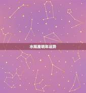 水瓶座明年运势，求今年水瓶座运势