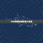 95年属猪的婚配表大全集，95年属猪女的婚姻