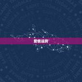 2023水瓶座8月爱情(浪漫之旅)
