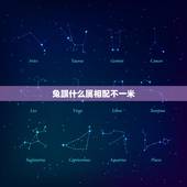 兔跟什么属相配不一米，属鼠和属兔的人相配吗