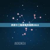 农历十二生肖每月运势2022，2022 年属猴人的全年运势女性