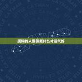 属狗的人要佩戴什么才运气好，1982年属狗人一生财运