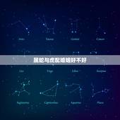 属蛇与虎配婚姻好不好，属虎和属蛇的夫妻结局