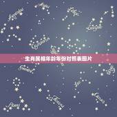 生肖属相年龄年份对照表图片，2021年十二生肖年龄对照表