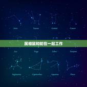 属相鼠和蛇在一起工作，属鼠的和属蛇的能相处吗？