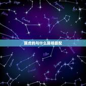 属虎的与什么属相最配，属虎的和什么属相最配呢？