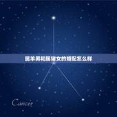 属羊男和属猪女的婚配怎么样，属猪的男性和属羊的女性能和婚吗？