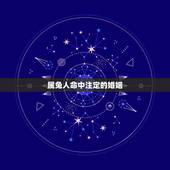 属兔人命中注定的婚姻，属兔和属兔的婚姻怎样