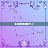 龙和鼠相配婚姻如何，虎和鸡相配婚姻如何