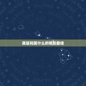 属鼠和属什么的婚配最佳，72年属鼠男性和什么属相的女性配婚最好
