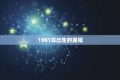 1991年出生的属相，1991年属什么生肖