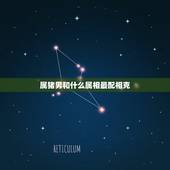 属猪男和什么属相最配相克，属猪人男可以与什么属相相配