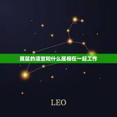 属鼠的适宜和什么属相在一起工作，属鼠人和什么属相合作最好