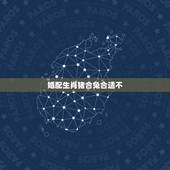 婚配生肖猪合兔合适不，男属兔1987年和女属猪1983年的合不合