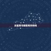 女鼠男马婚配有好的吗，属相婚配：男属马和女属鼠相配吗