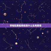 宰相肚里能撑船是什么生肖属相，宰相肚里能撑船十二生肖指哪个属相