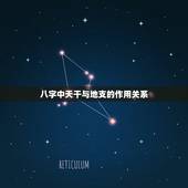 八字中天干与地支的作用关系，流年天干和地支哪个重要
