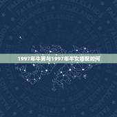 1997年牛男与1997年牛女婚配如何，华易网1997年属牛女婚配19