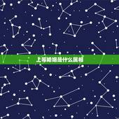 上等婚姻是什么属相，哪些生肖婚配最上等