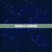 狗运势2022运势如何，属狗人2022年每月运势？