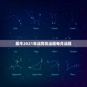属牛2021年运势及运程每月运程，2021年属牛的运势和财运