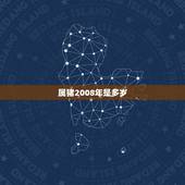属猪2008年是多岁，2008年出生的今年几岁