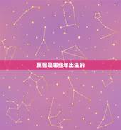 属猴是哪些年出生的，1968年到2022 年多大年龄