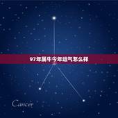 97年属牛今年运气怎么样，属牛的，97年的今年运气如何