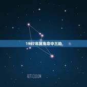 1987年属兔命中三劫 1987年属兔何时翻身