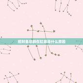 招财鱼总躺在缸底是什么原因，招财鱼偏躺在水底不动喂食还吃怎么回事