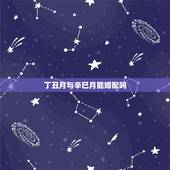丁丑月与辛巳月能婚配吗，求八字合婚怎么样