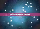 属羊男和属鸡什么属相配，属相婚配表 鸡和羊可以在一起吗
