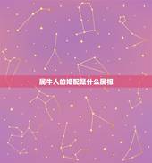 属牛人的婚配是什么属相，男女婚配属相最佳搭配怎么搭配