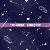1995年猪女和什么属相最合适，95年属猪女和什么属相最配？